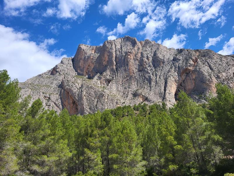 Foto 4e0d1eee-600b-43a2-bfe3-98e07a8e0095. Propriété dans mas de arriba dans Benimantell