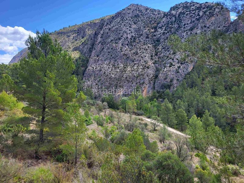 Foto 78f23bb9-36a9-4027-8a7c-cca774ca0e0f. Propriété dans mas de arriba dans Benimantell