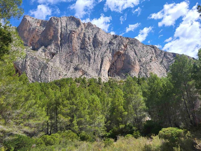 Foto 8b54b10e-5a0c-49d3-8188-fef0f8a68dc8. Propriété dans mas de arriba dans Benimantell