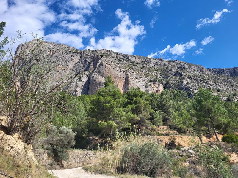 Foto f91879f9-b324-4151-ad5a-4312c3497b46. Propriété dans mas de arriba dans Benimantell