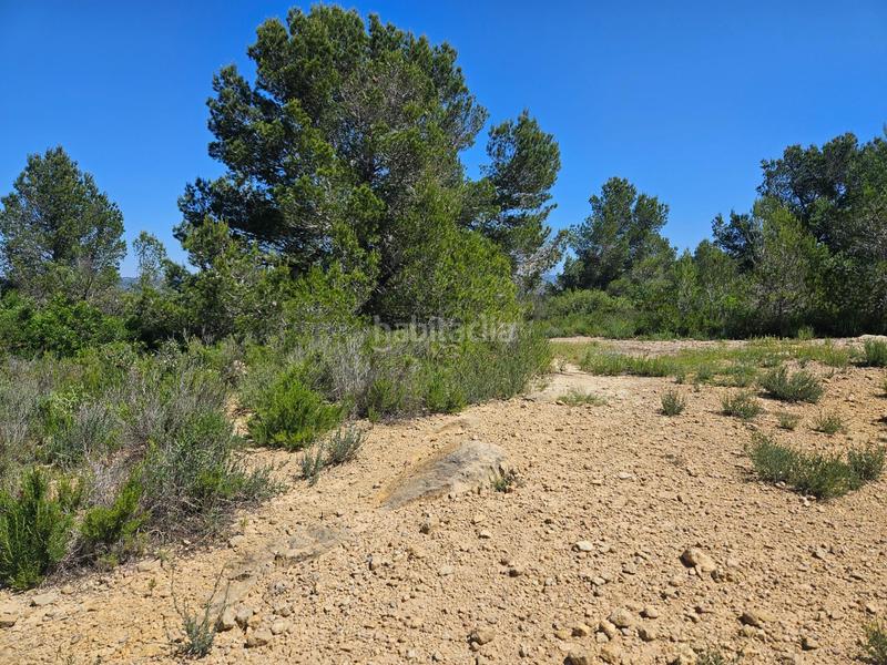Foto 181597fd-b1ba-4ca5-bc2f-68c0aec39219. Finca rústica a Roques Daurades-L´Estany Ametlla de Mar (L´)