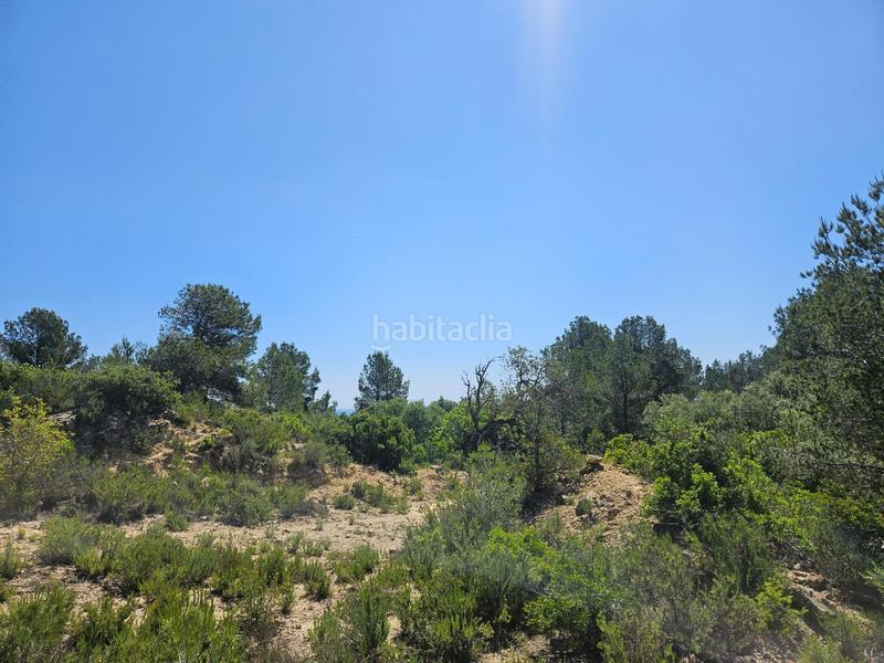 Foto 30cbc6ba-6dbe-4d84-a1b2-ee60a9281ead. Finca rústica a Roques Daurades-L´Estany Ametlla de Mar (L´)