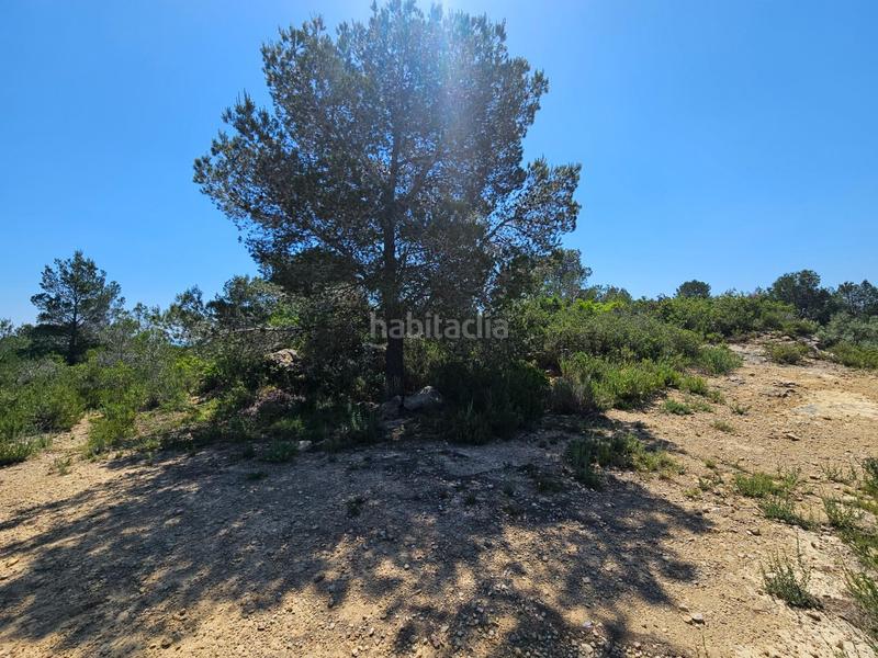 Foto 609add14-5c56-4d90-b1e7-19c5fbca277a. Finca rústica a Roques Daurades-L´Estany Ametlla de Mar (L´)