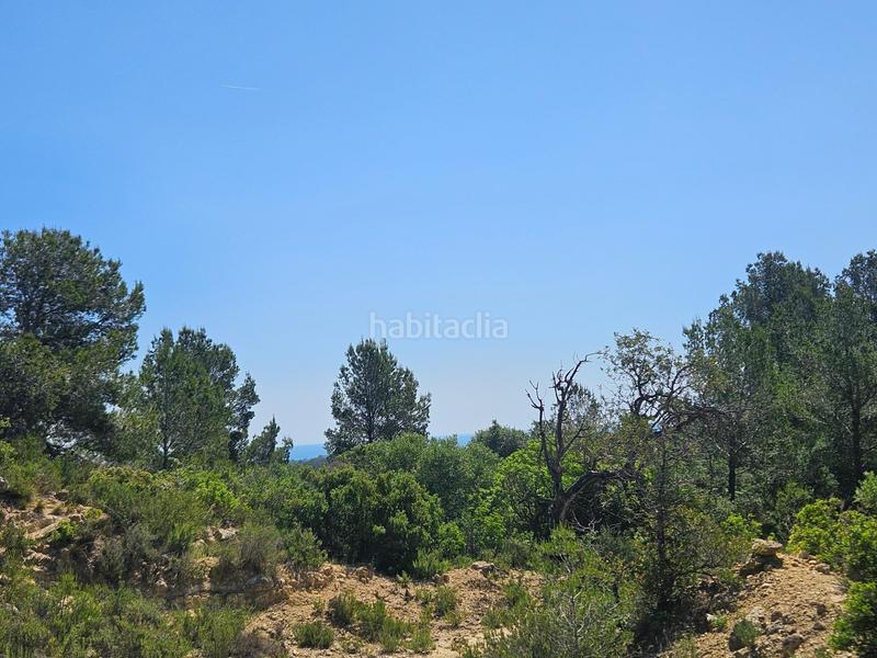 Foto 6face891-bbdb-4d8c-bda1-5c9a1bf64032. Finca rústica a Roques Daurades-L´Estany Ametlla de Mar (L´)