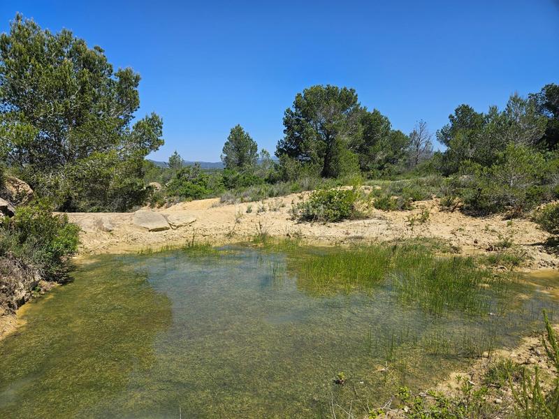 Foto 7f600eb1-00a1-4ca9-8e69-d5fa57ac057a. Finca rústica a Roques Daurades-L´Estany Ametlla de Mar (L´)