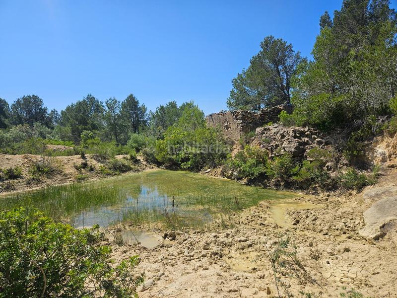 Foto b8361b56-d074-4e35-9266-9491a7dd727b. Finca rústica a Roques Daurades-L´Estany Ametlla de Mar (L´)