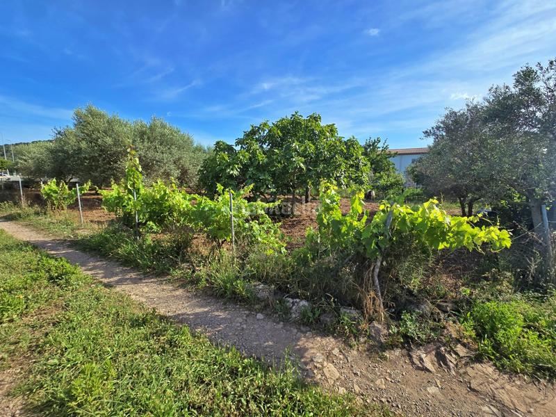 Foto 35ada0b1-cd17-4fc5-88e0-8ad45697a863. Mas dans Pollença poble Pollença