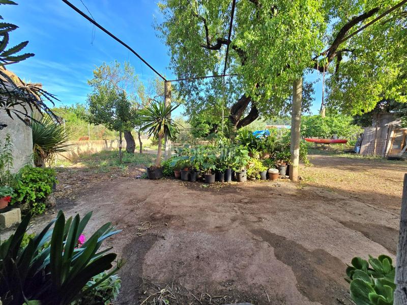 Foto 40c2eda1-fa6d-40a7-a8f4-946ee23253f2. Mas dans Pollença poble Pollença