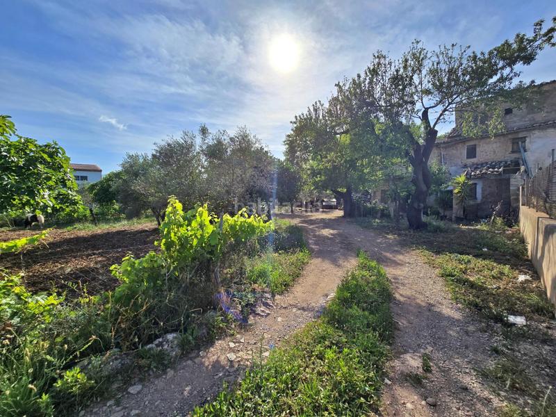 Foto 9f31f465-fd70-44fd-98e8-efa6b4c3d3b5. Mas dans Pollença poble Pollença