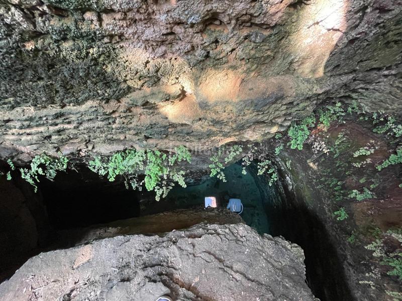 Foto 259535ea-9574-4fae-8662-87116d3cbb62. Bauernhof mit heizung parking pool in ciutat d´Alcúdia Alcúdia