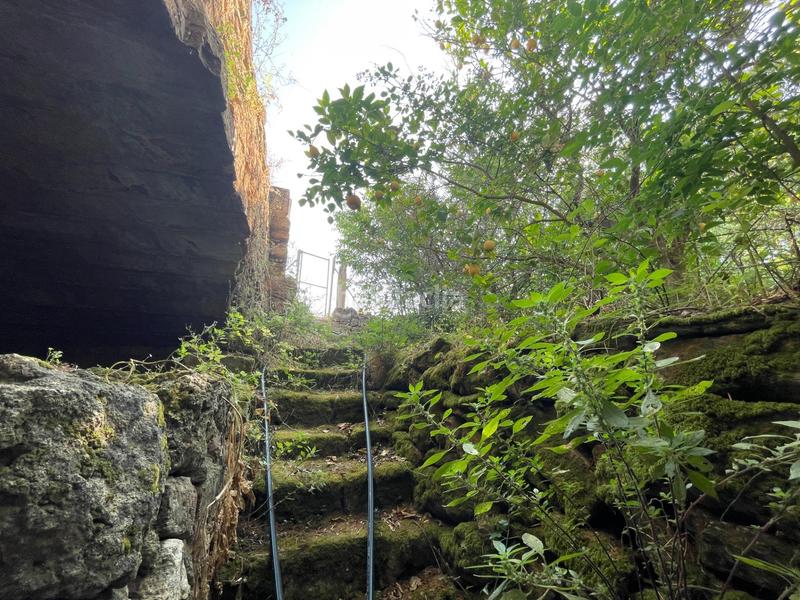 Foto 6452a1fd-22a5-4ceb-832b-1a8ce1f2c51a. Bauernhof mit heizung parking pool in ciutat d´Alcúdia Alcúdia