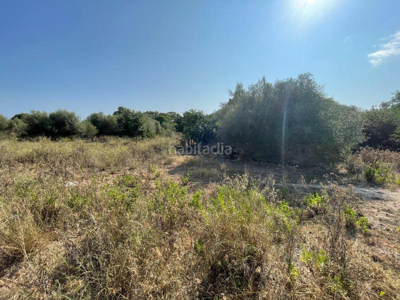 Foto ba75fac7-e16b-47ec-b80d-d7dc9d58641b. Bauernhof mit heizung parking pool in ciutat d´Alcúdia Alcúdia