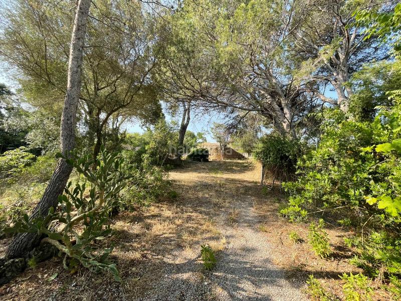 Foto baed637b-9914-40e2-826d-a645f961ed1a. Bauernhof mit heizung parking pool in ciutat d´Alcúdia Alcúdia
