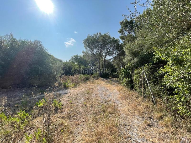 Foto d81aa5f6-eec8-47b1-a0cd-9623b5830017. Bauernhof mit heizung parking pool in ciutat d´Alcúdia Alcúdia