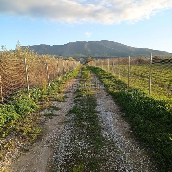 Foto 01e24ef3-84f8-4c24-85e4-acccad2a0e19. Propriété dans Centro Alhaurín el Grande