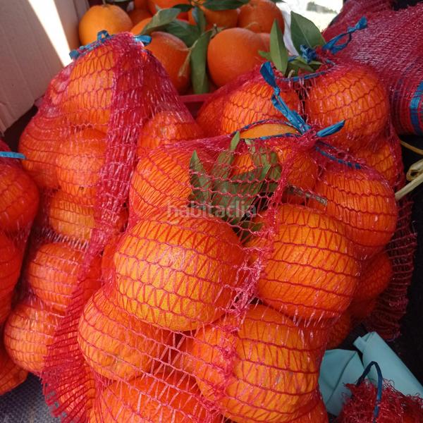 Foto 0461da6b-e58f-47ab-a2a7-1207e5b8979f. Propriété dans Centro Alhaurín el Grande