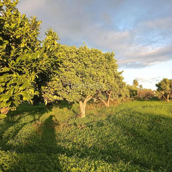 Foto 0addbdd0-9d48-40b0-a77d-f208aa7e73b4. Propriété dans Centro Alhaurín el Grande