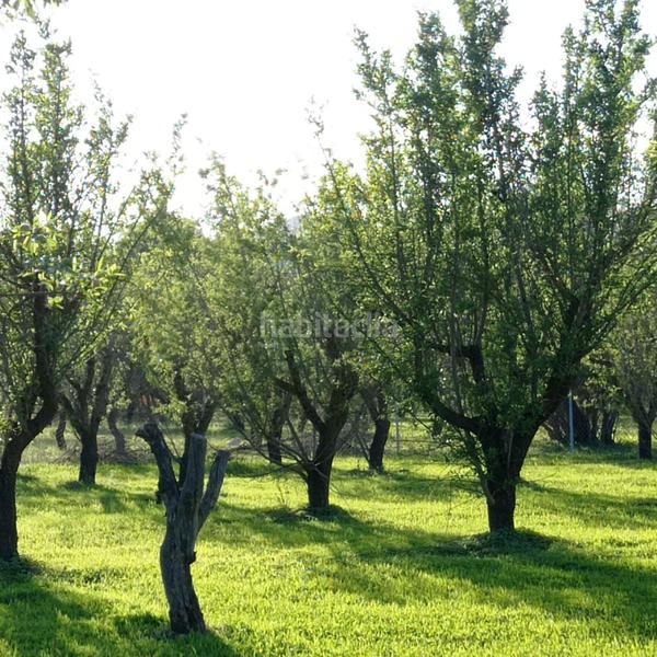 Foto 188990f9-d1d6-476f-ab5d-2876da6e49ee. Propriété dans Centro Alhaurín el Grande