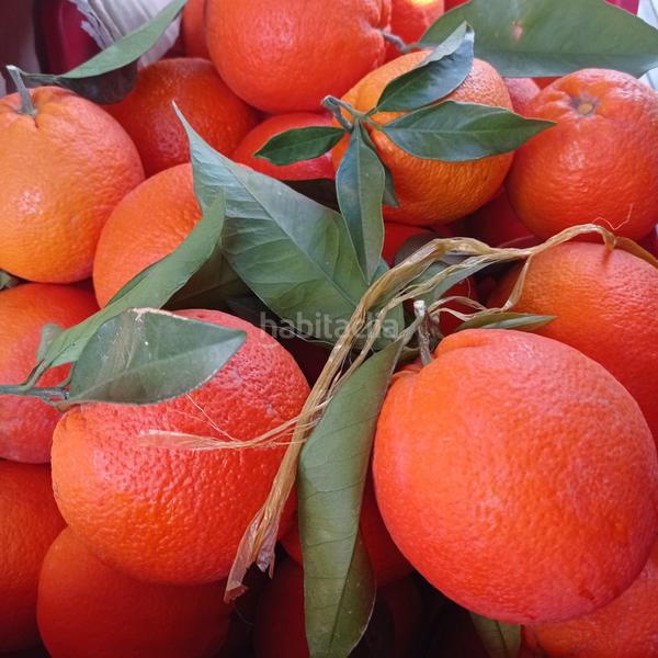 Foto 437a7287-3791-45f4-a8cc-1e91260e1720. Propriété dans Centro Alhaurín el Grande