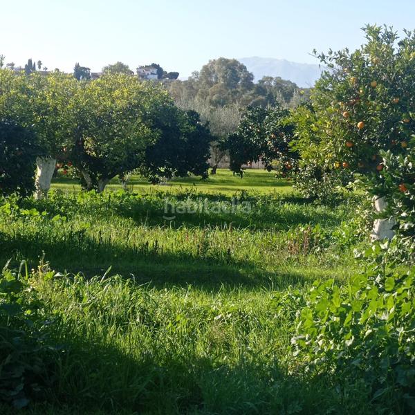 Foto 4cfb5cad-3743-44af-be0d-96c5abf1b819. Propriété dans Centro Alhaurín el Grande