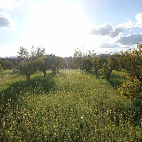 Foto 53d14a04-3fb9-462e-bfe8-9581d5054e2b. Propriété dans Centro Alhaurín el Grande