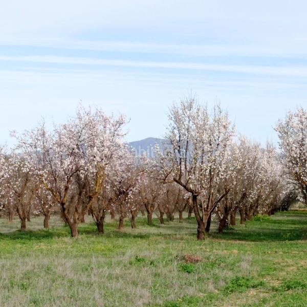 Foto 6233990d-9777-4b2f-bb5d-0c685b062777. Propriété dans Centro Alhaurín el Grande