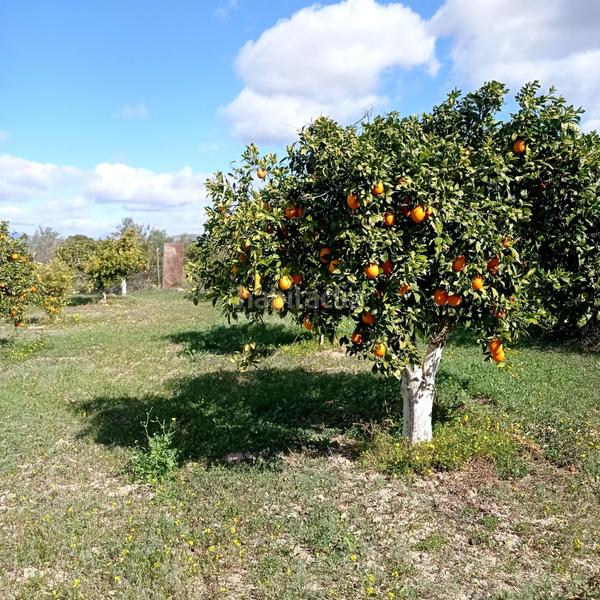 Foto 6fe83fa1-63fe-403d-9063-6bdc1679e526. Propriété dans Centro Alhaurín el Grande