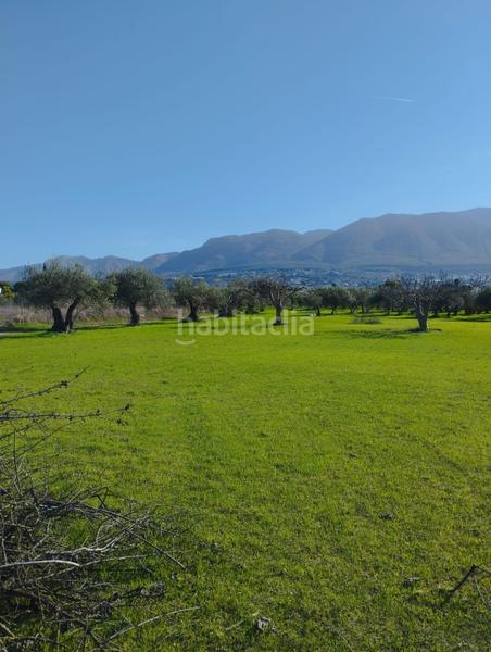 Foto 7c1691e2-b2e6-4f81-a814-c8544d4b5424. Propriété dans Centro Alhaurín el Grande