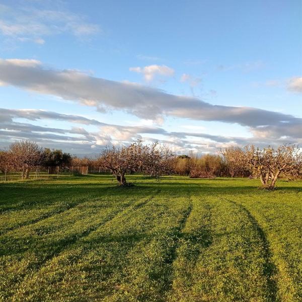 Foto 98e3a5a3-4aba-4dd3-af73-e2855597a9da. Propriété dans Centro Alhaurín el Grande