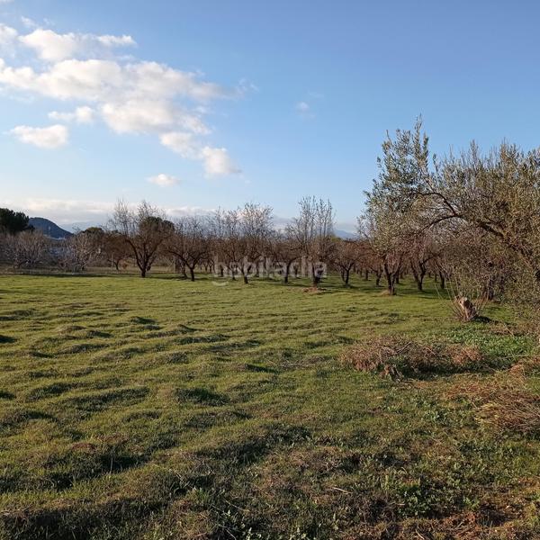 Foto abde69df-a906-4bf6-8927-363bf3388687. Propriété dans Centro Alhaurín el Grande