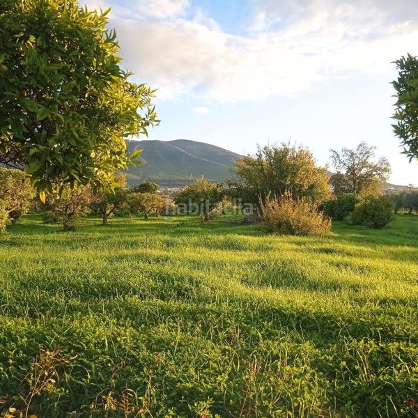 Foto d20daf3c-8af5-4411-a7d5-e711e7ed9a52. Propriété dans Centro Alhaurín el Grande