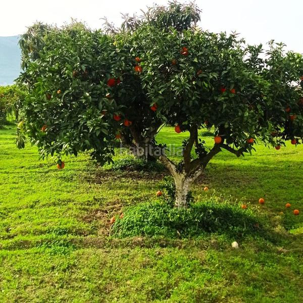 Foto fa746423-2dc8-4e4a-884d-1779ace6da91. Propriété dans Centro Alhaurín el Grande