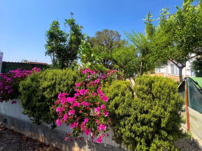 Foto c1ea44f9-4124-4902-ba9d-a052c32a7af9. Chalet dans partida lomas gp.2 117 dans Albatera