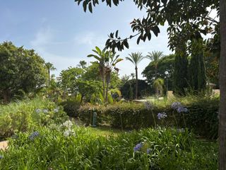 Lloguer Apartament a Divina Pastora. Apartamento 3 dormitorios en alquiler en bahía de marbella