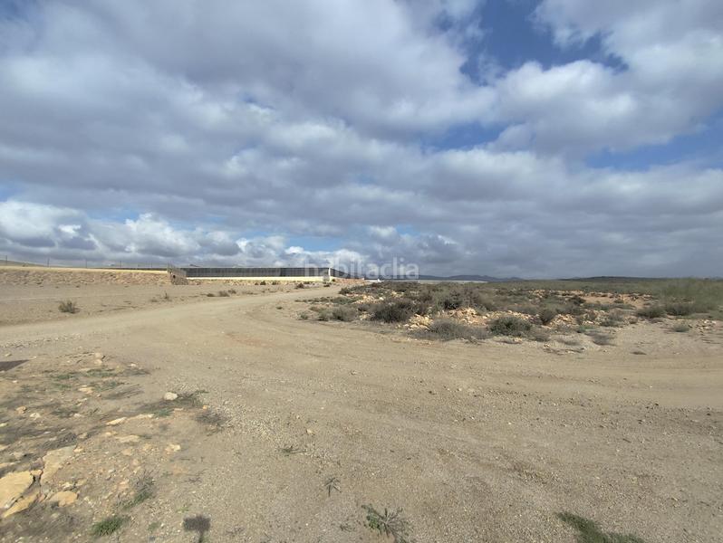 Foto 86bcbaeb-e6ad-44f7-8b23-f9829b632769. Rural plot in San Isidro - Campohermoso Níjar