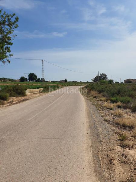 Foto 1b143a5d-4f5e-4270-9a15-6e5a2cefeb3c. Rural plot in Centro Elche / Elx