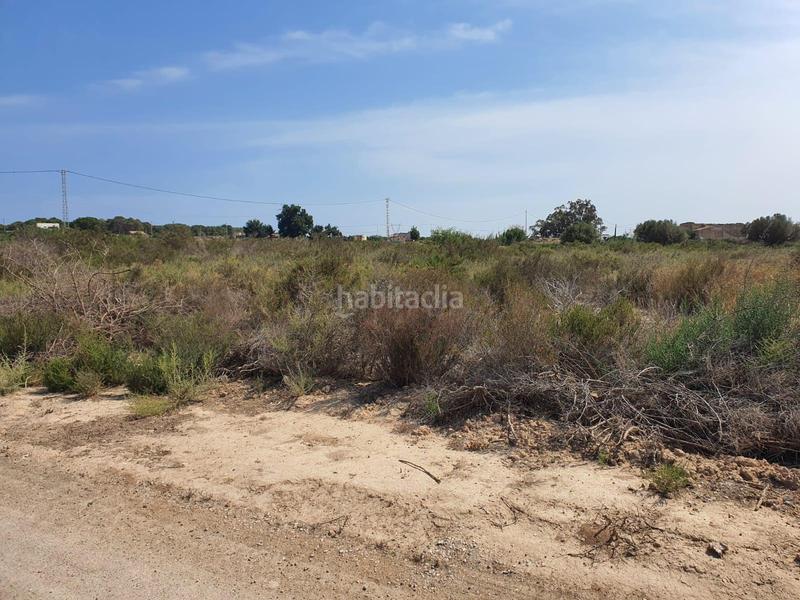 Foto 27008925-d3f3-48a4-ae32-759a597b818f. Rural plot in Centro Elche / Elx