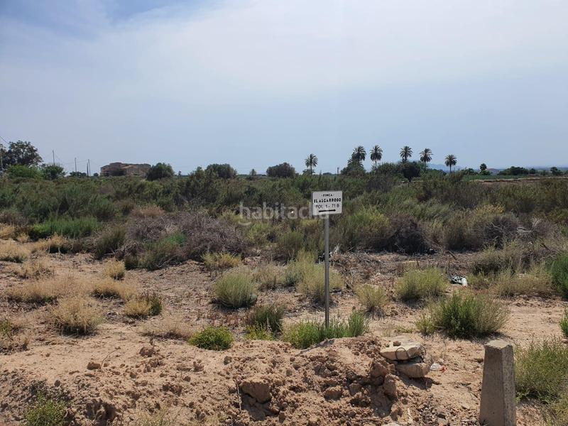 Foto 9c9c01f0-857b-4ef5-8124-7475c5ece70f. Rural plot in Centro Elche / Elx