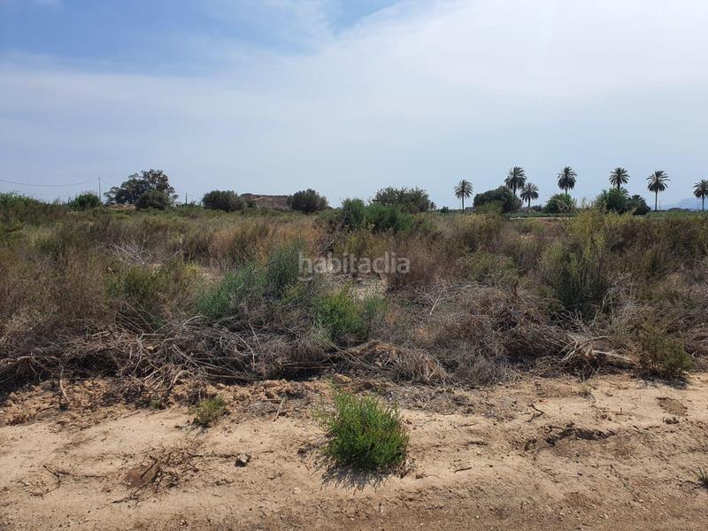 Foto a7e90e54-d8b9-4471-8b0c-878d99e1d06e. Rural plot in Centro Elche / Elx
