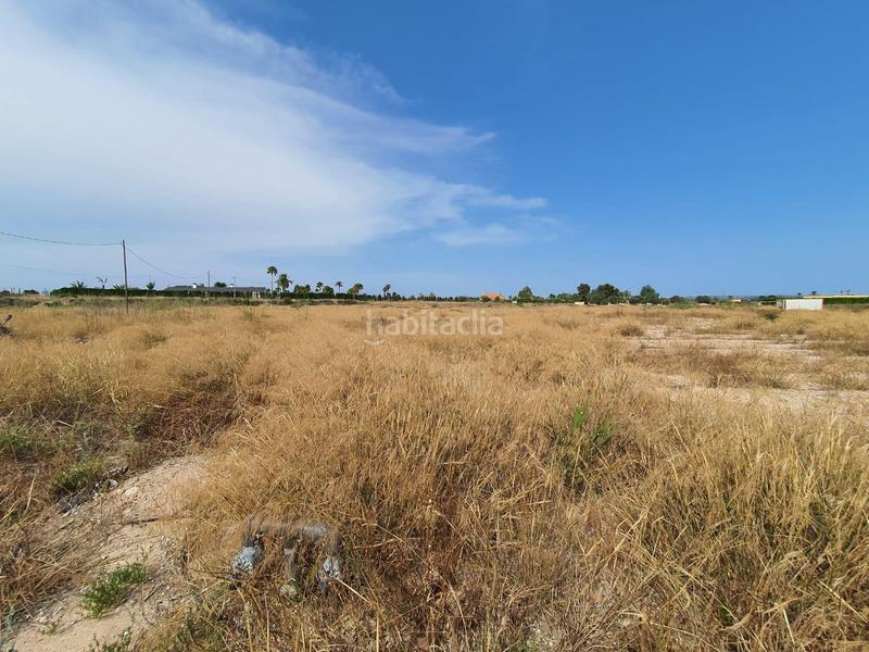 Foto 21a254cf-6df8-400c-945c-04aceb975e00. Propriété dans Centro Elche / Elx