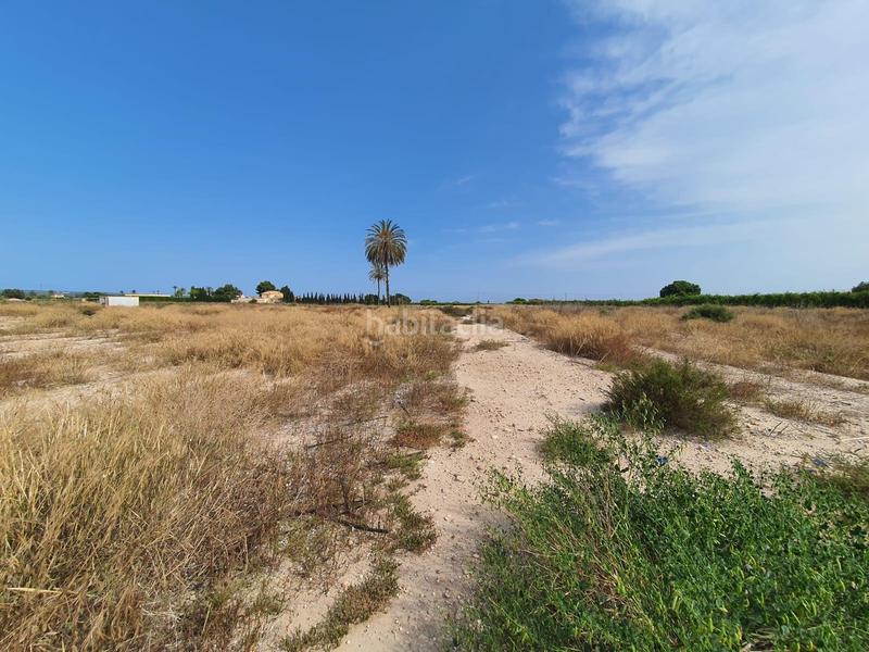 Foto 5344d309-448a-43f4-954e-7b41e998921c. Propriété dans Centro Elche / Elx