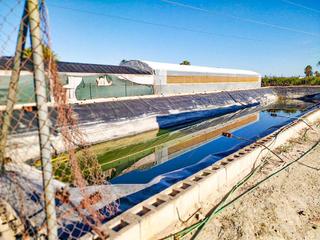 Rural plot  Partida elche. Terreno en las bayas con potencial para más de 1.000 m de vivien