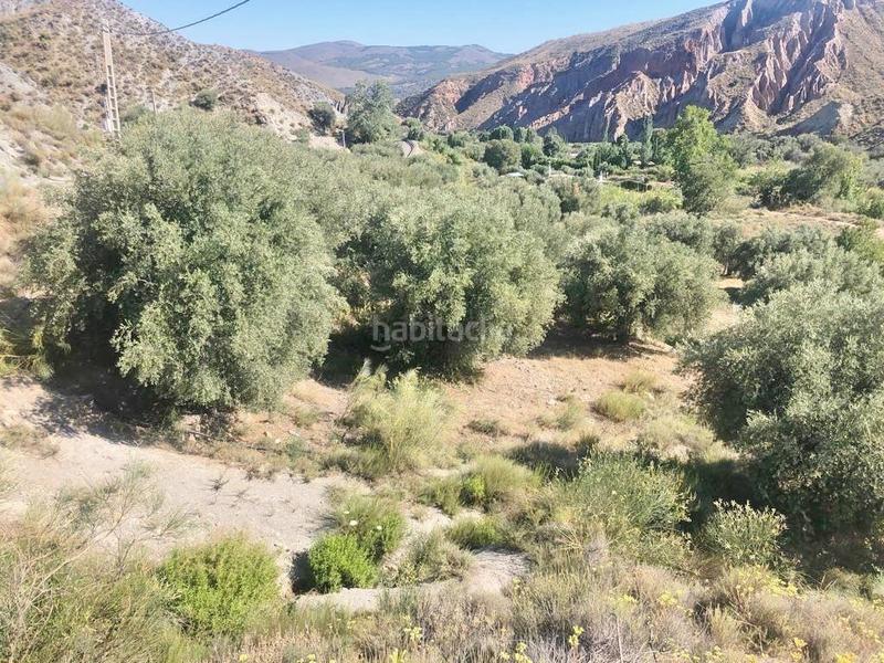 Foto 13fe3891-acf6-4eea-8e07-e76b223b3ebd. Finca rústica oportunidad estratégica de inversión finca de 92 hectáreas en almería con olivar, agua, 2 cortijos y potencial fotovoltaico en Nevada