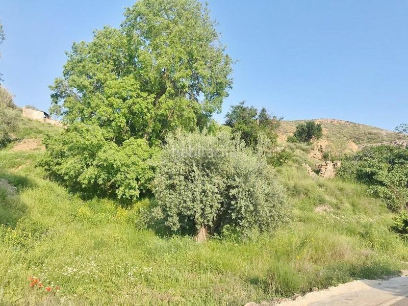 Foto 550d0512-4fe3-4ebe-9dfb-e7089b9f3754. Finca rústica oportunidad estratégica de inversión finca de 92 hectáreas en almería con olivar, agua, 2 cortijos y potencial fotovoltaico en Nevada