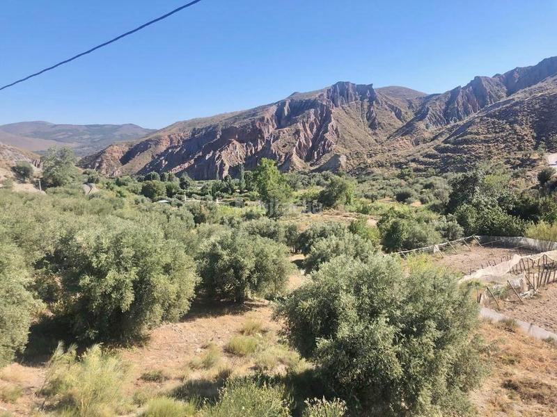 Foto a73db74d-ef46-447b-819b-5a4674a33f88. Finca rústica oportunidad estratégica de inversión finca de 92 hectáreas en almería con olivar, agua, 2 cortijos y potencial fotovoltaico en Nevada