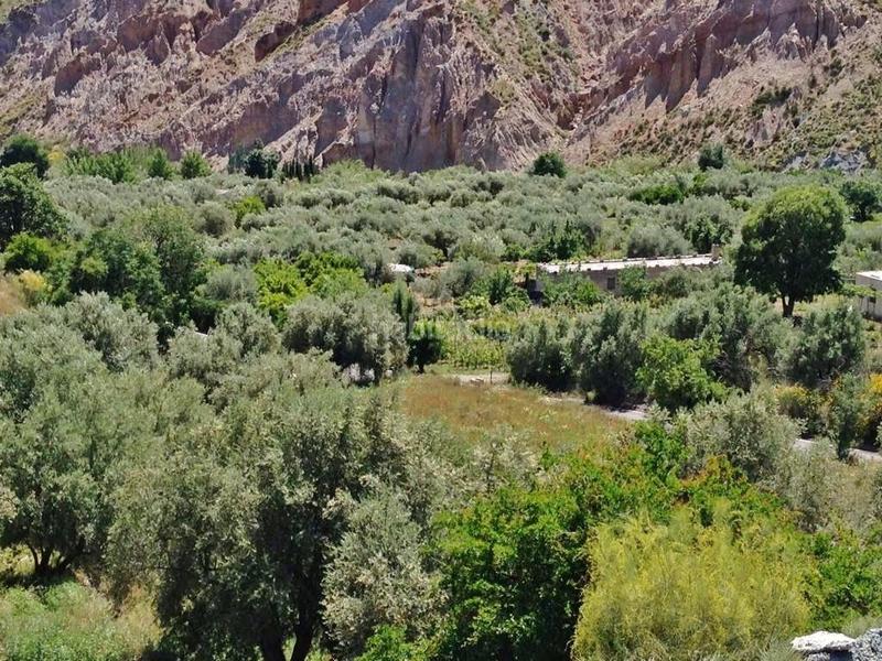 Foto b7f222f1-50d7-4a7a-9573-a2d407c01690. Finca rústica oportunidad estratégica de inversión finca de 92 hectáreas en almería con olivar, agua, 2 cortijos y potencial fotovoltaico en Nevada