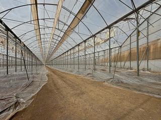 Fondo rustico in Diseminados 45. Invernadero ecológico de 22.000 m2 con climatización y agua gara