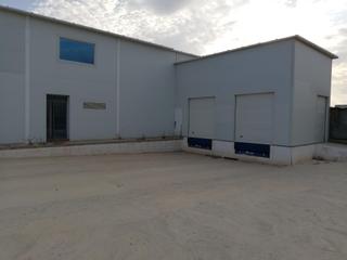 Nau industrial a Carretera diseminados 45. Oportunidad única nave industrial con cámara frigorífica y licen