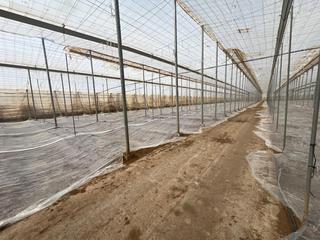Fondo rustico in Calle diseminado. Invernadero ecológico de 5.000 m2 en parcela de 1,2 ha  listo pa