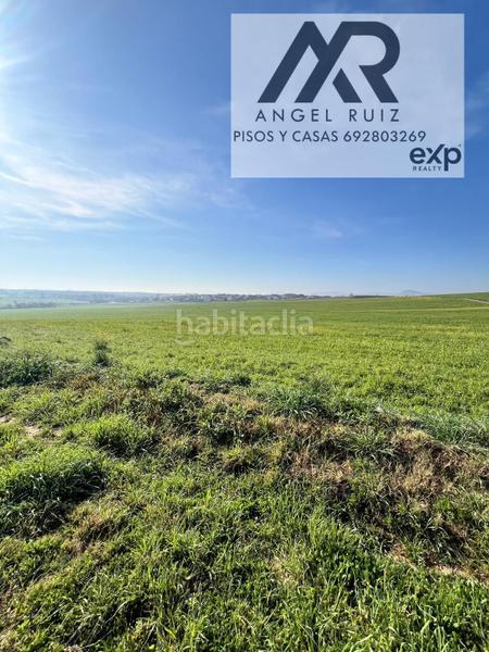 Foto 830bb566-2956-49e5-9723-c596ca38ab98. Propriété dans Este Mérida